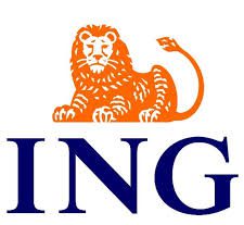 ING center of excellence trainers coach-the-coach